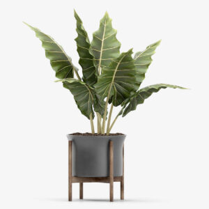 Emporium Royal Stand Vase With Tree